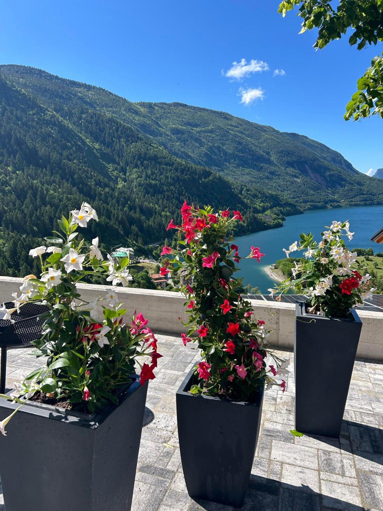Hotel Aurora Molveno Eksteriør bilde