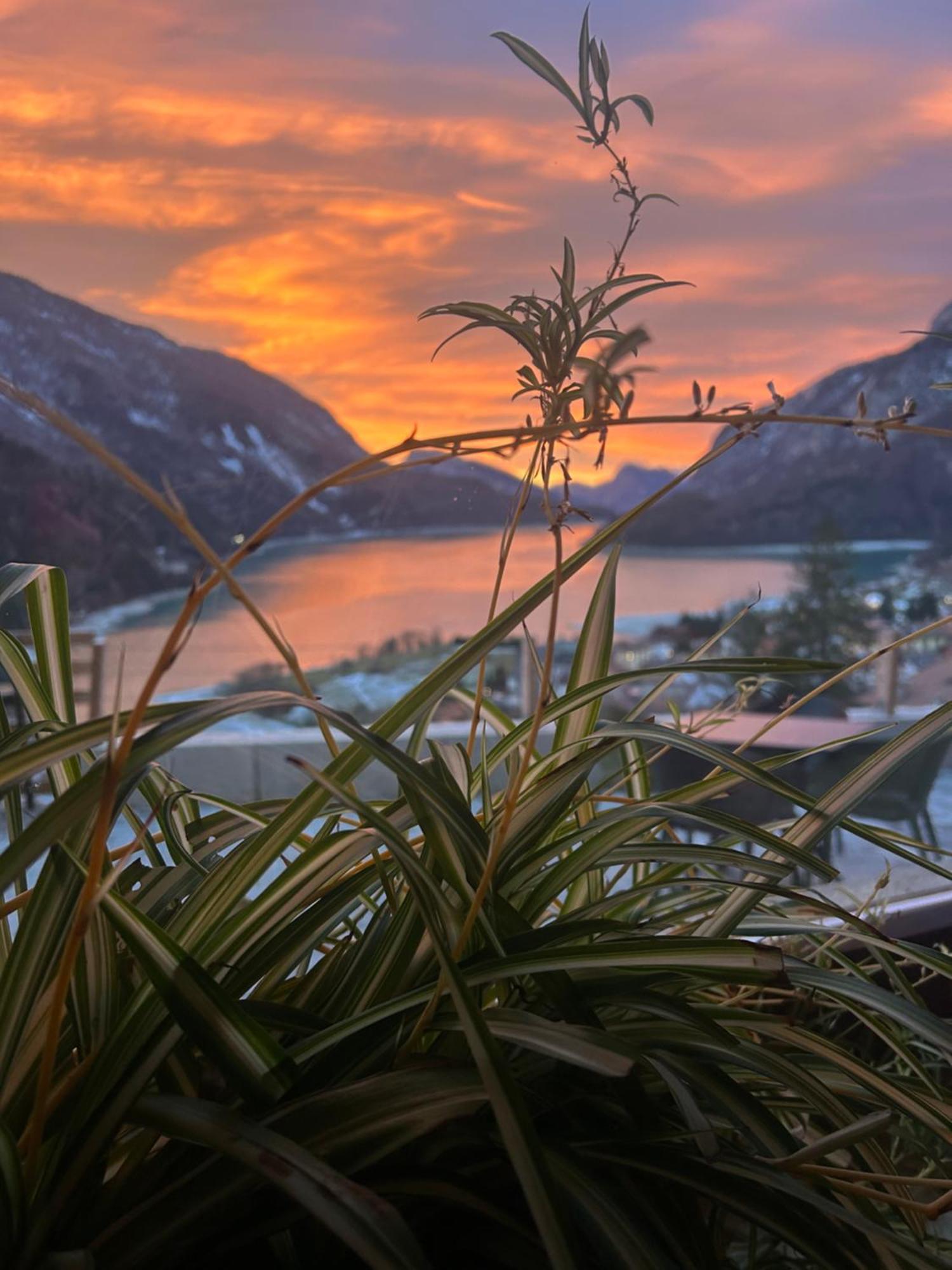 Hotel Aurora Molveno Eksteriør bilde